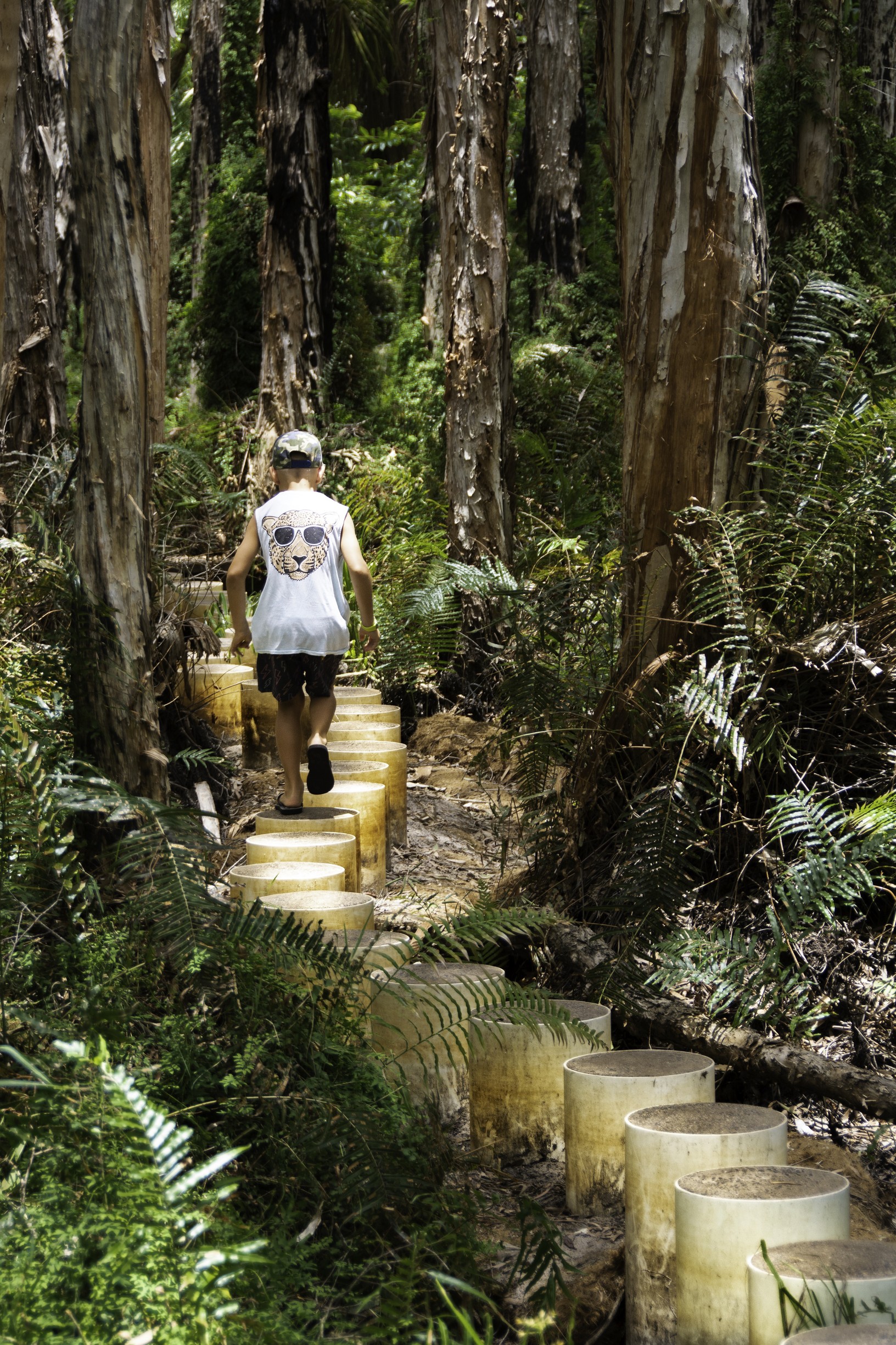 Paperbark Trail Agnes Water | free things to do Gladstone